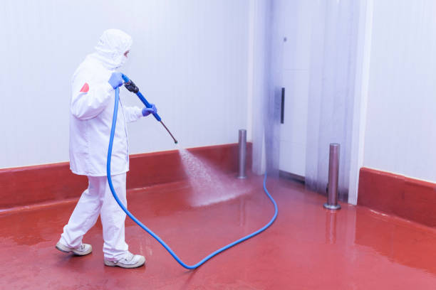 Best Factory Floor Cleaning  in Woodall, OK